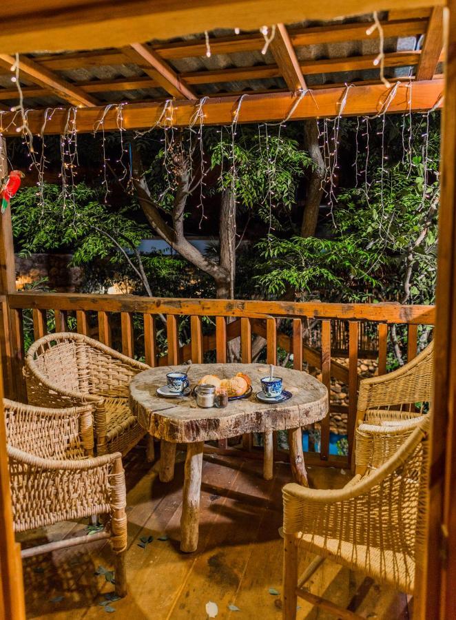 Hotel Colibri Pozos  Exterior photo